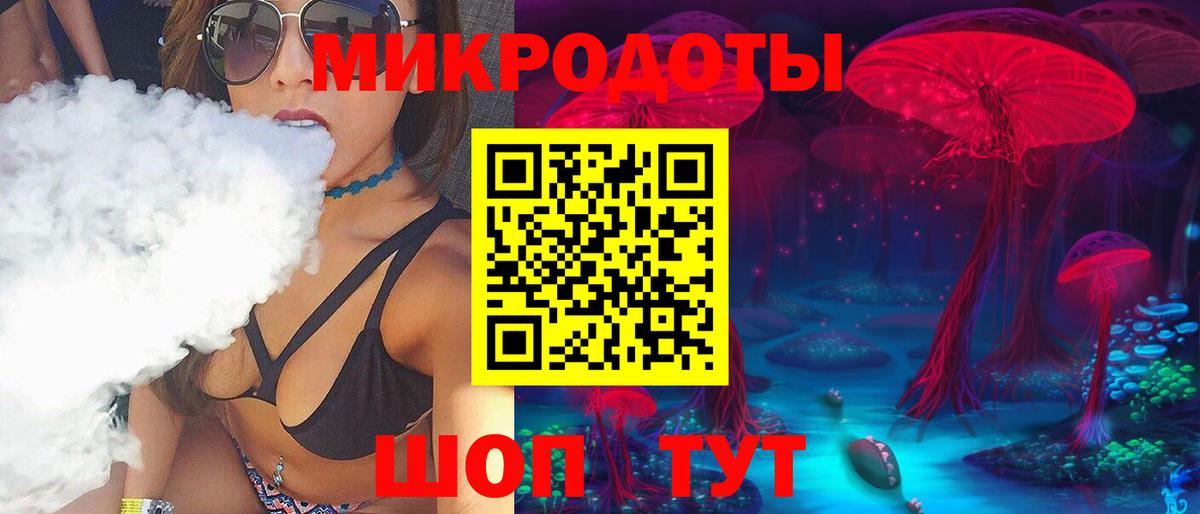 Псилоцибиновые грибы Psilocybe Вятские Поляны