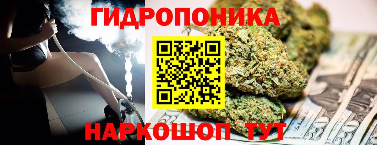 Вятские Поляны  Шишки марихуана семена  Вход с VPN  Канабис AK-47  Бошки марихуана Amnesia  Канабис конопля 